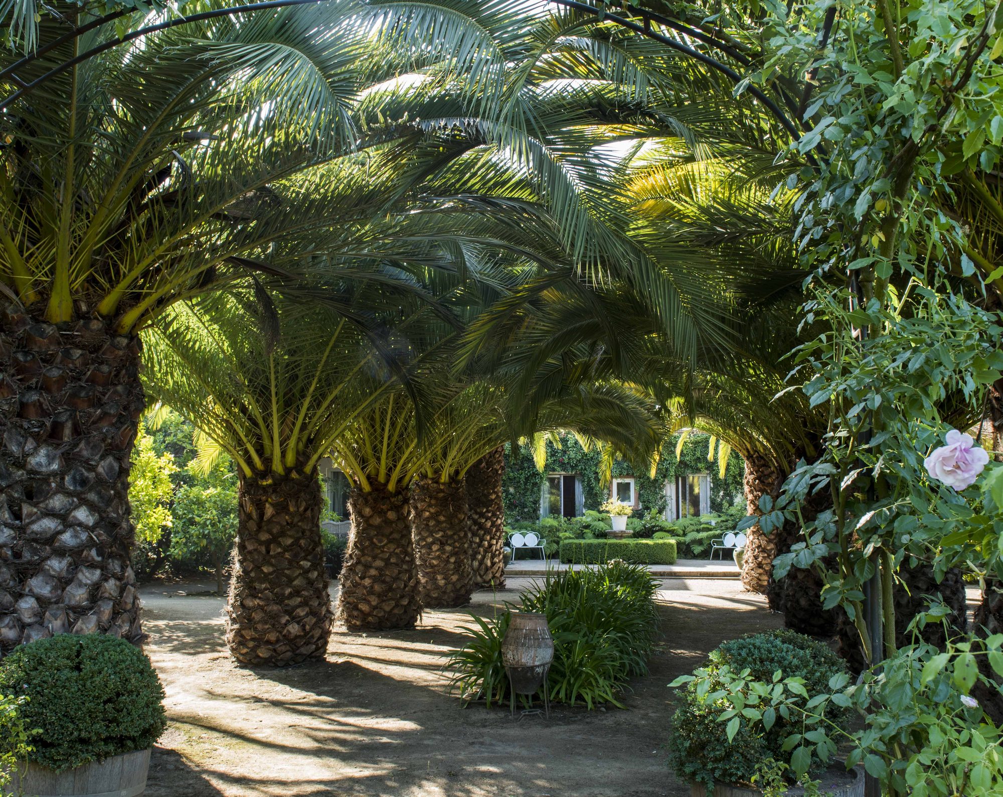 Fundo El Peumo Estate — Vacation rental in the Colchagua Valley, Chile